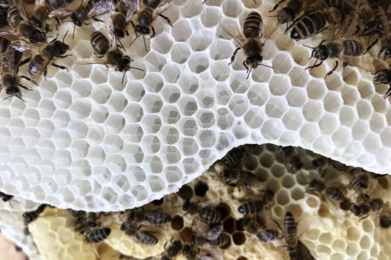 38E19940-488D-4A95-8A4A-0538D26D0B99