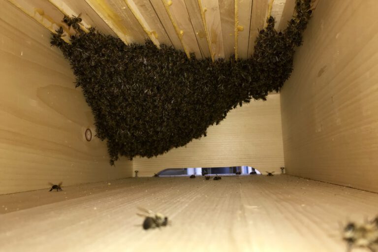 CF1773E5-8BF4-4595-BB80-B0B3413124AF