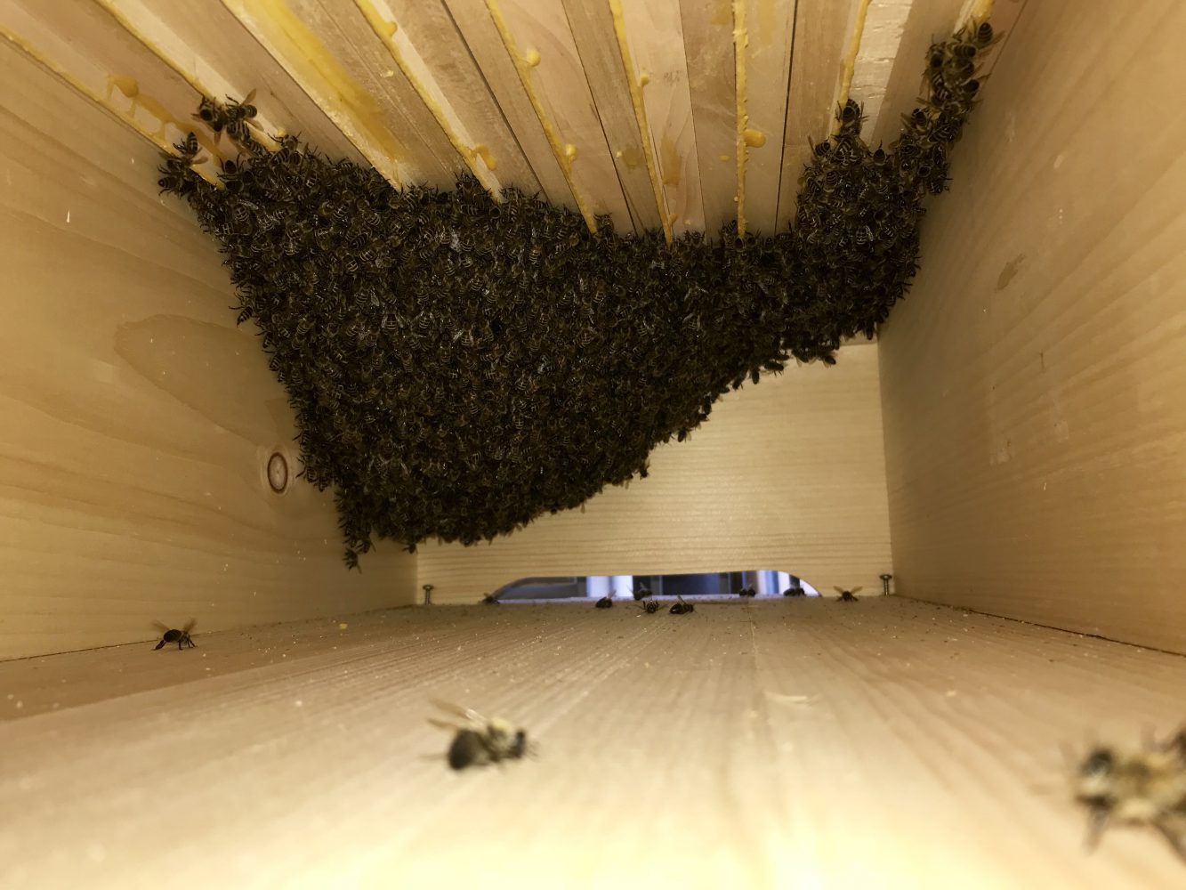 CF1773E5-8BF4-4595-BB80-B0B3413124AF