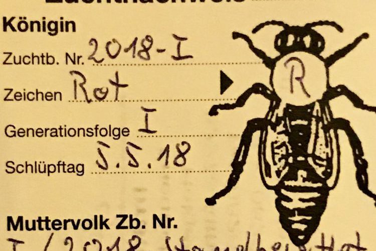 E58CCD9B-601C-4E42-A58F-BFFF156134AA