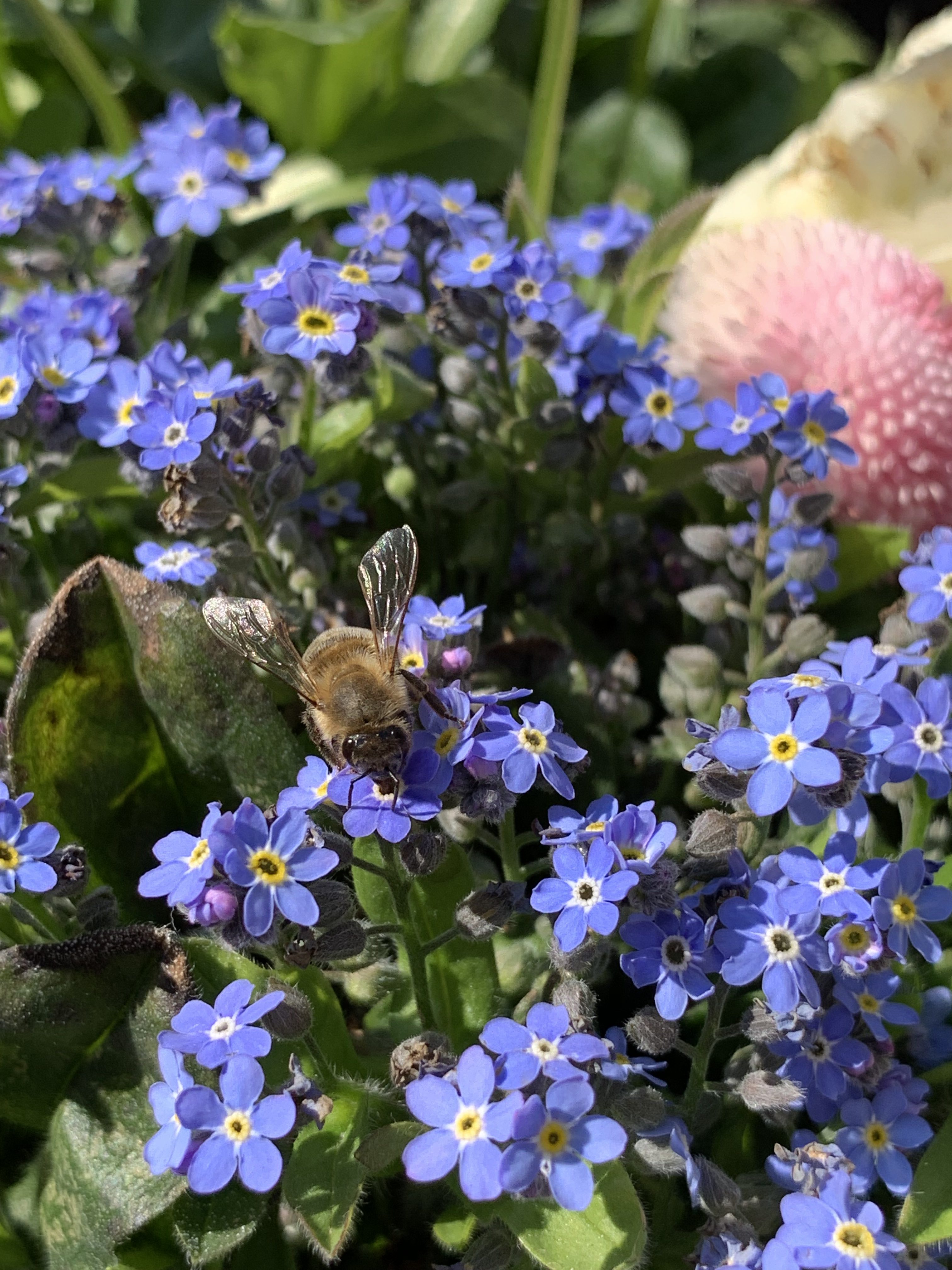 9B7D3528-4932-4590-97ED-6C14BC4839A9