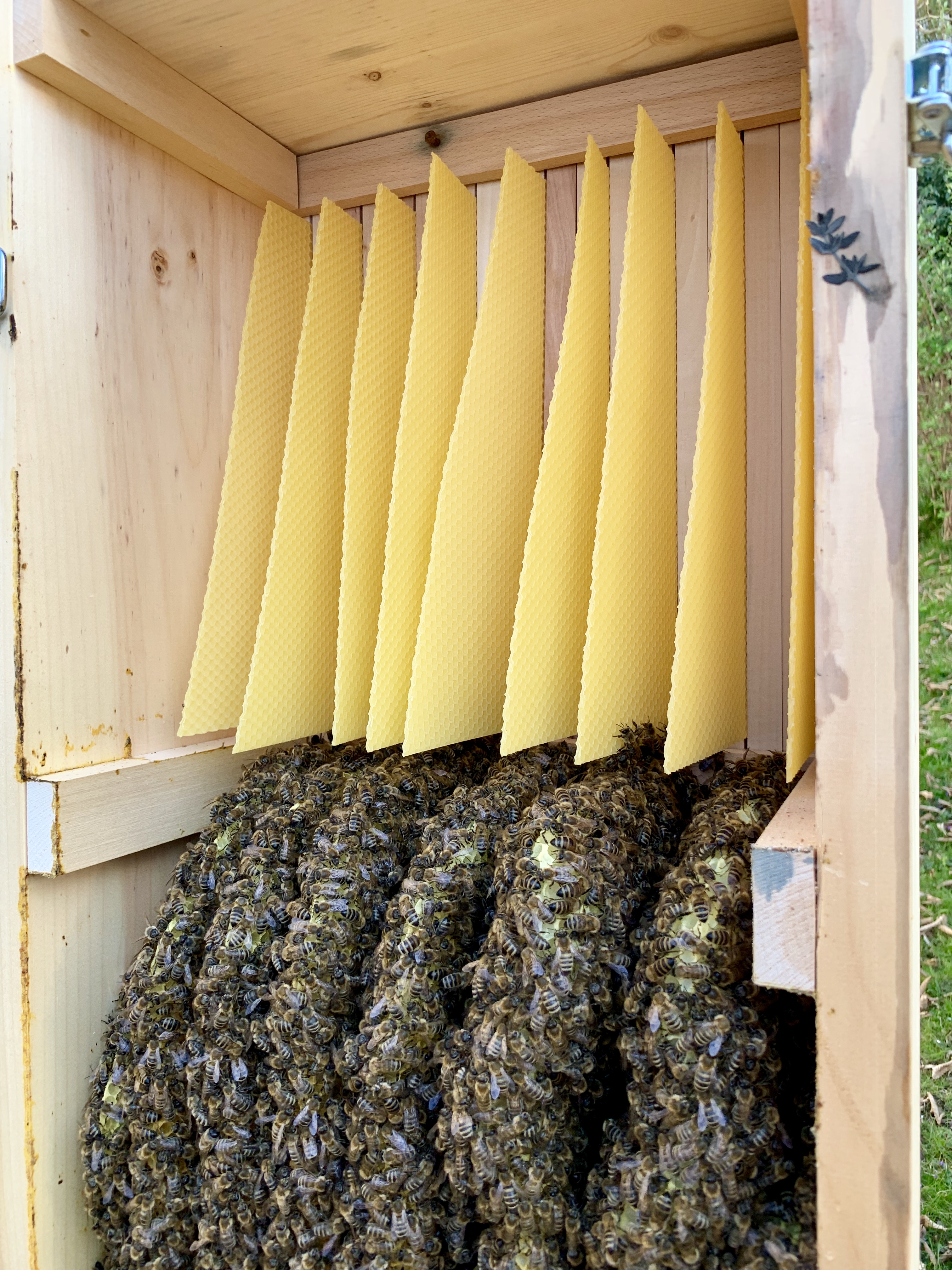 38C37065-90B0-4191-A67B-69EA2DEBB07E