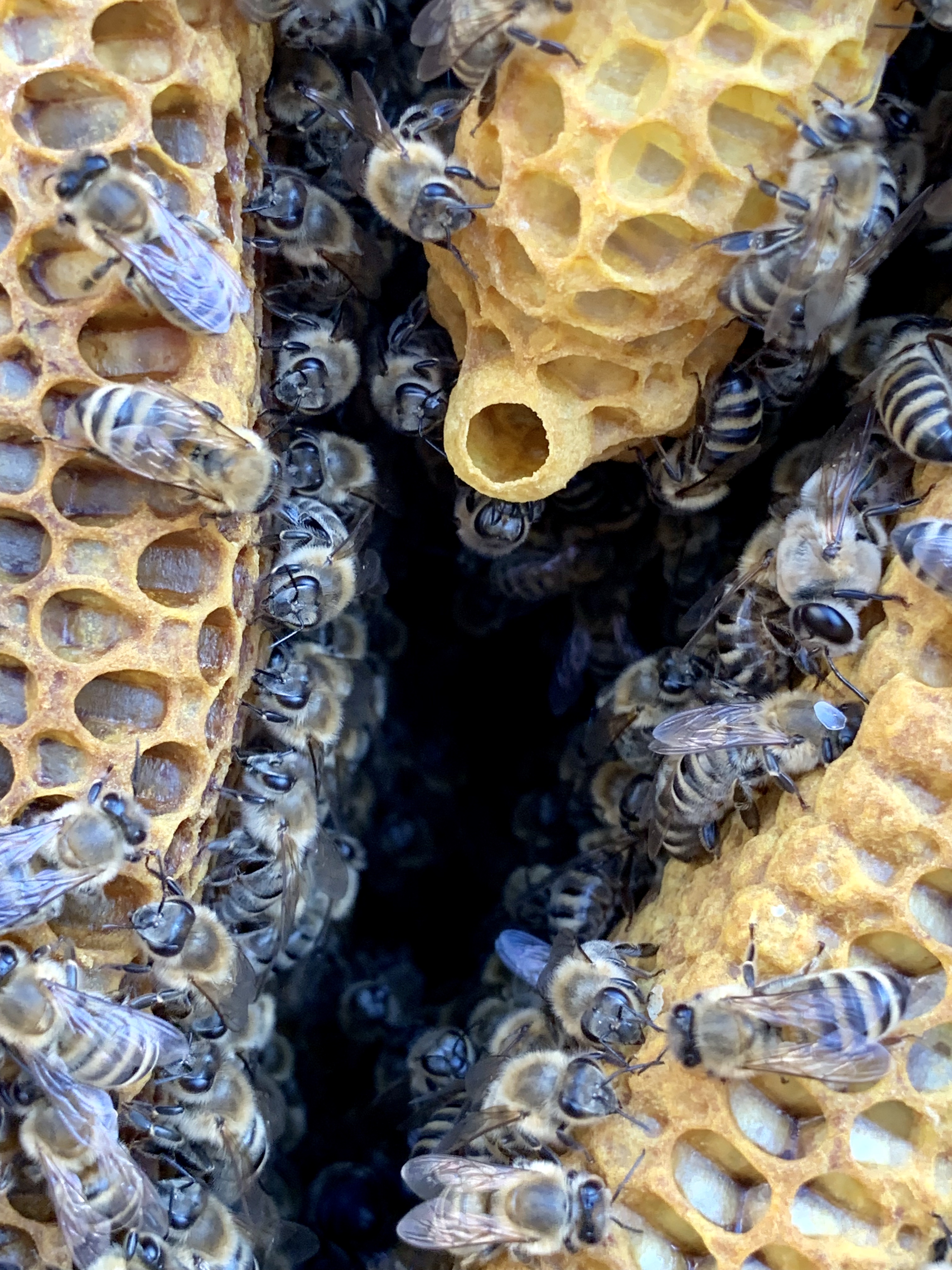 93F101F0-340B-4244-ADD5-199E00BBDD0A