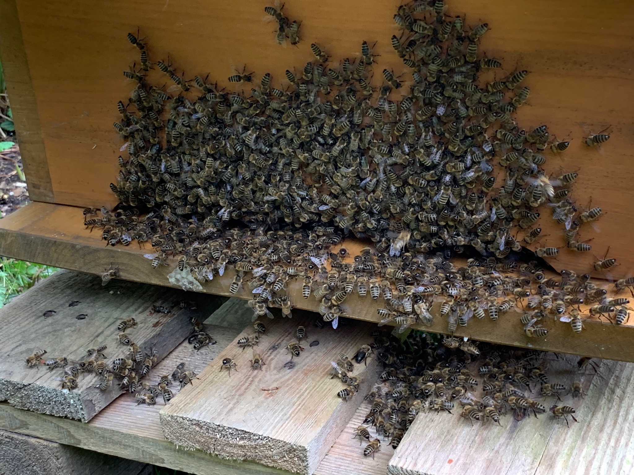 D42D1642-4674-4206-9240-81EFE7EB09AC