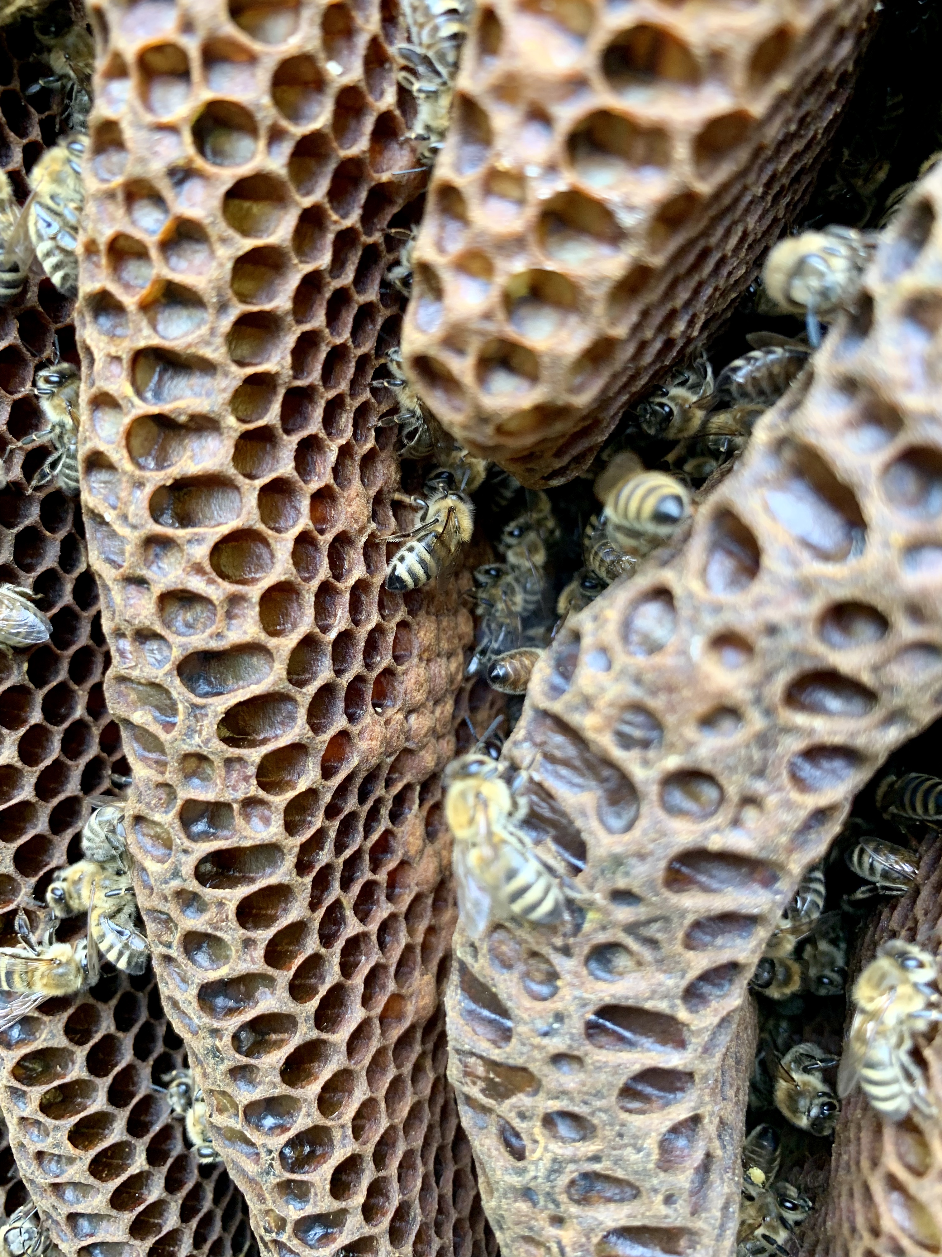 7E549ABD-990D-427E-B1A5-7F2E3131A91B